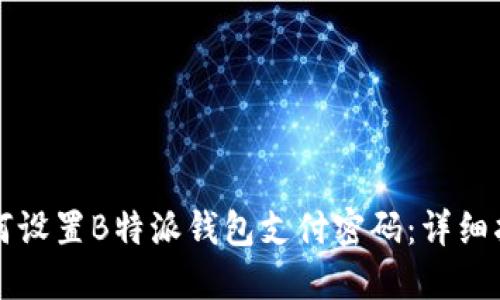 如何设置B特派钱包支付密码：详细指南