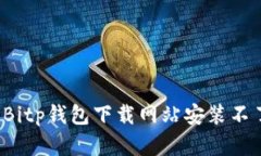 如何解决Bitp钱包下载网站
