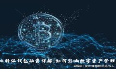 比特派钱包融资详解：如