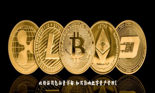 比特派钱包融资详解：如何影响数字资产管理？